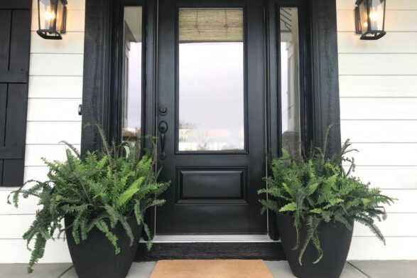 An impact door flanked by two potted ferns and exterior wall lights.